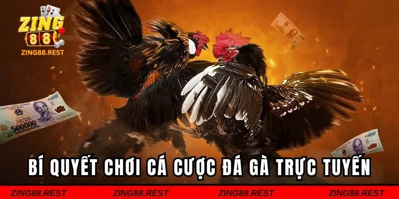 Bí quyết chơi cá cược đá gà trực tuyến cần biết