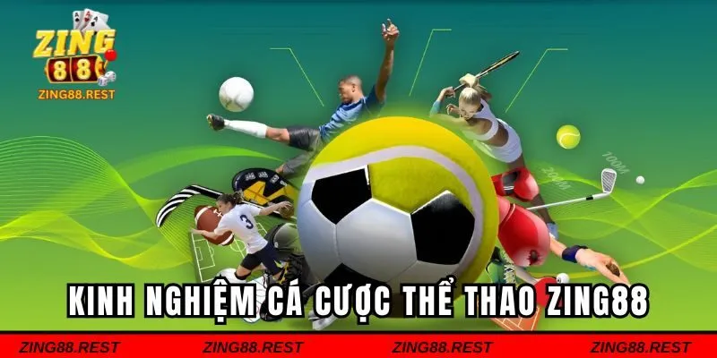 Kinh nghiệm cá cược thể thao Zing88 thắng lớn