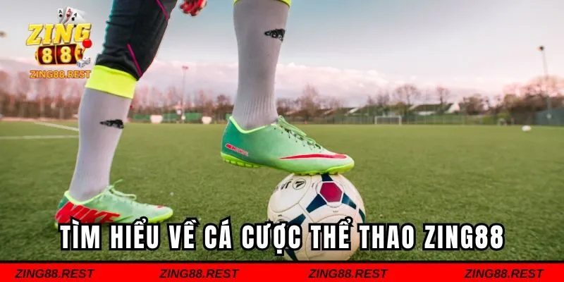 Tìm hiểu sơ lược về cá cược thể thao Zing88