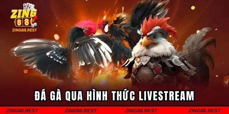 Đá gà thông qua hình thức livestream