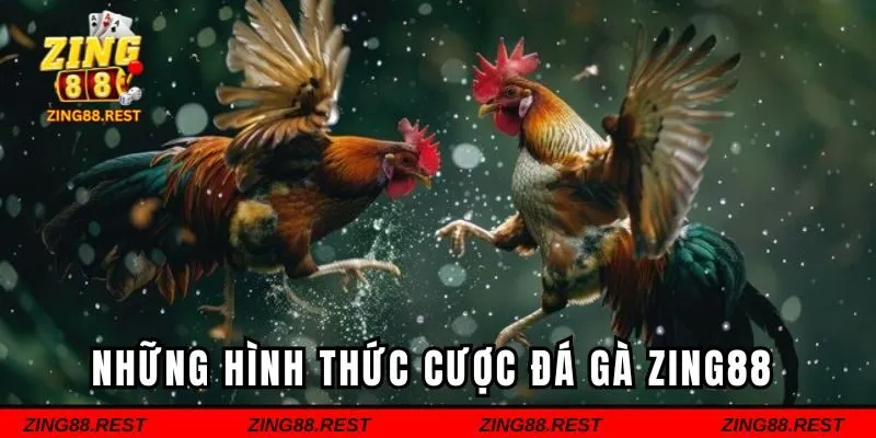 Những hình thức cược đá gà Zing88
